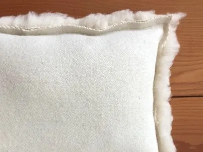 Natural Child's First Pillow