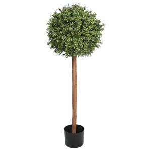 UV Boxwood Ball Tree 16 X 48" Topiary